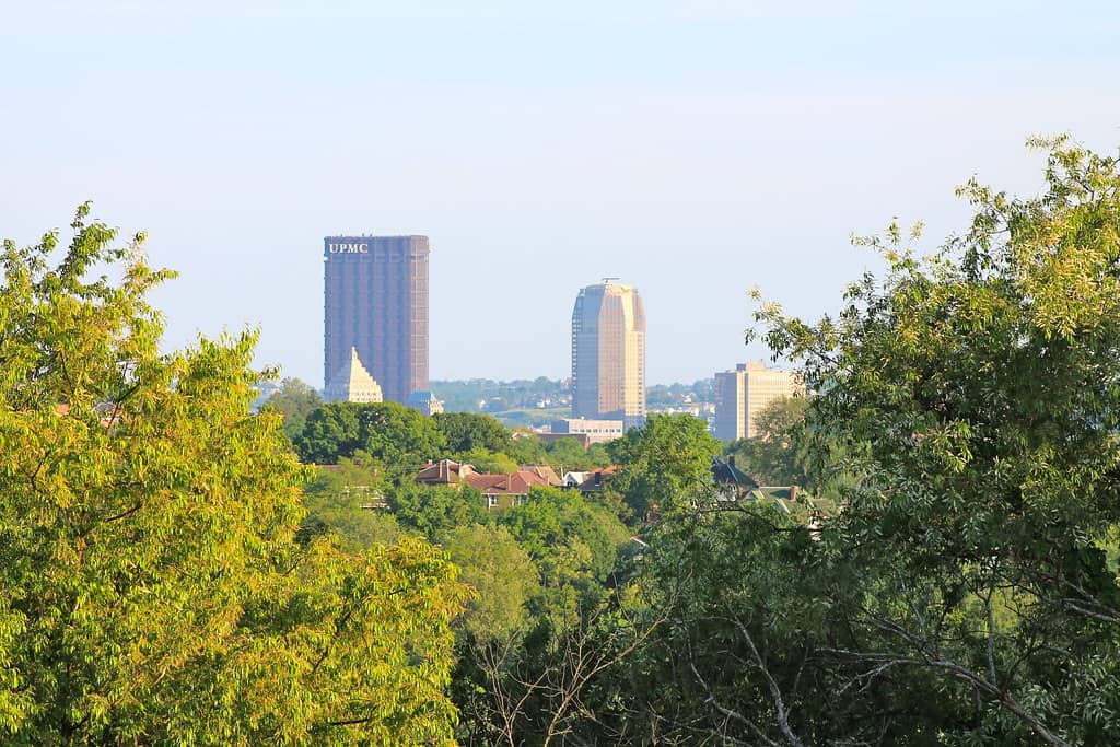 Skyline Views