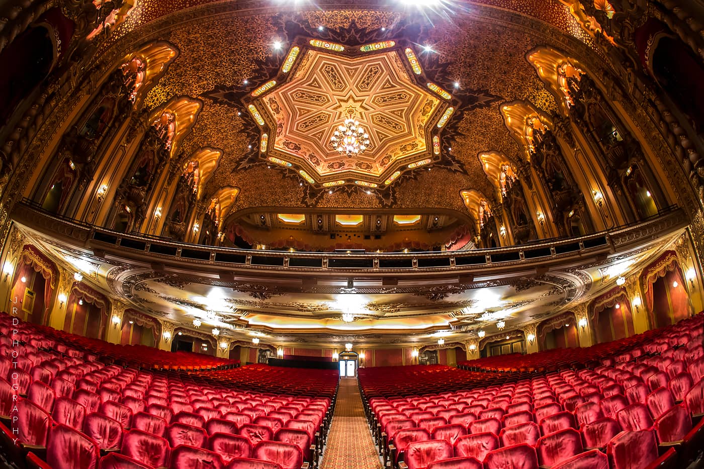 Live Musical Performances