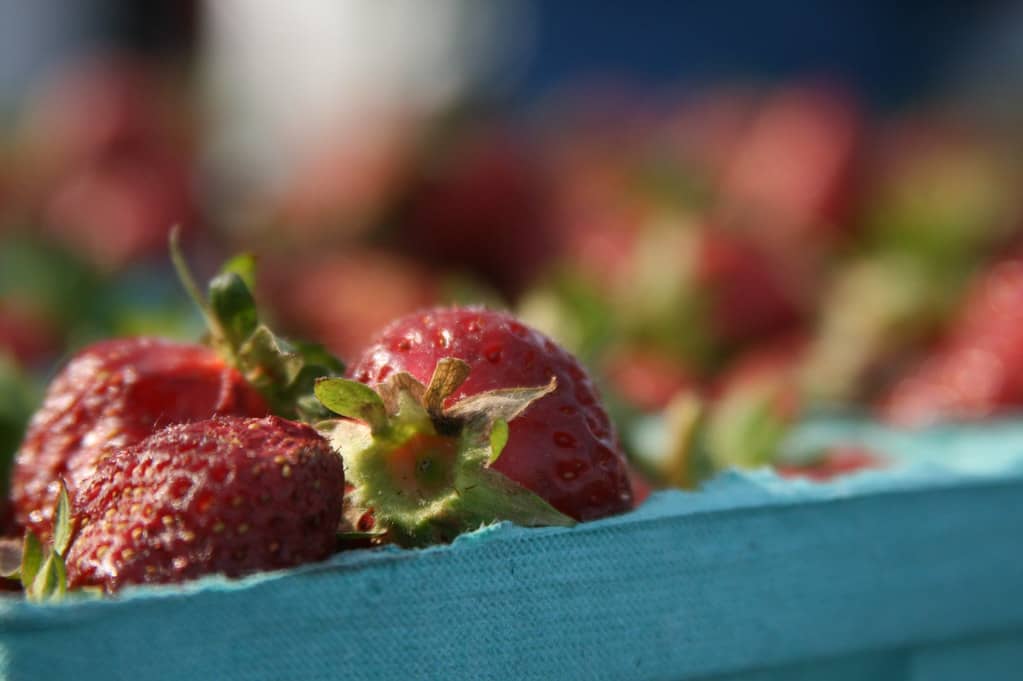 Local Produce & Specialty Foods