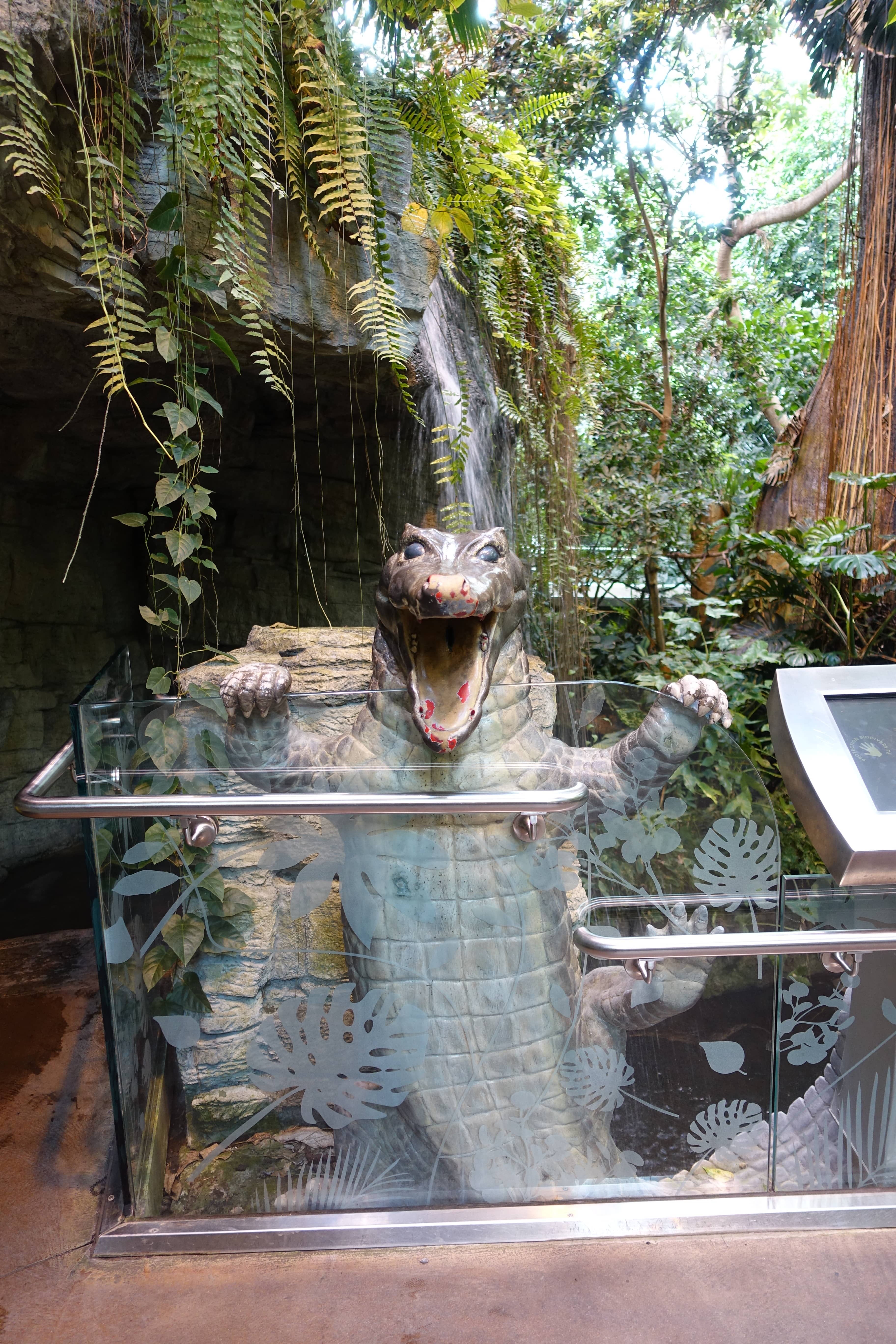 Tropical Rainforest Immersion