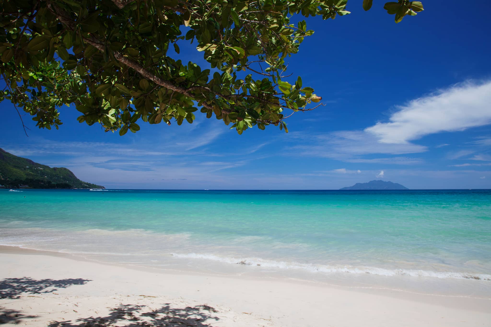 Diving & Snorkeling Reefs