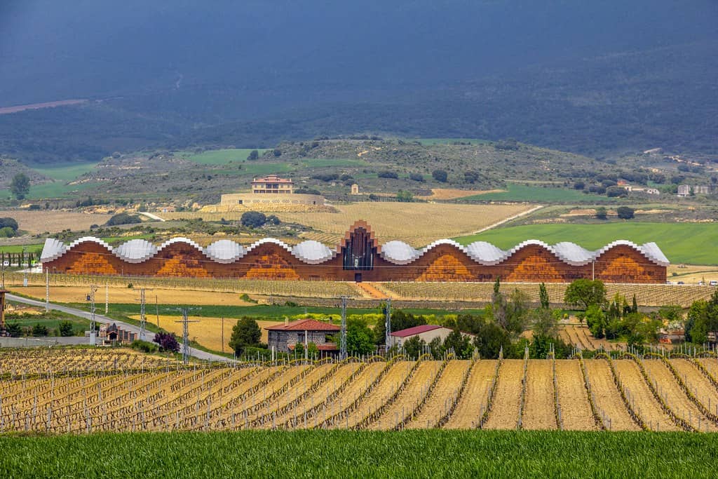 Underground Wine Cellars (Bodegas)
