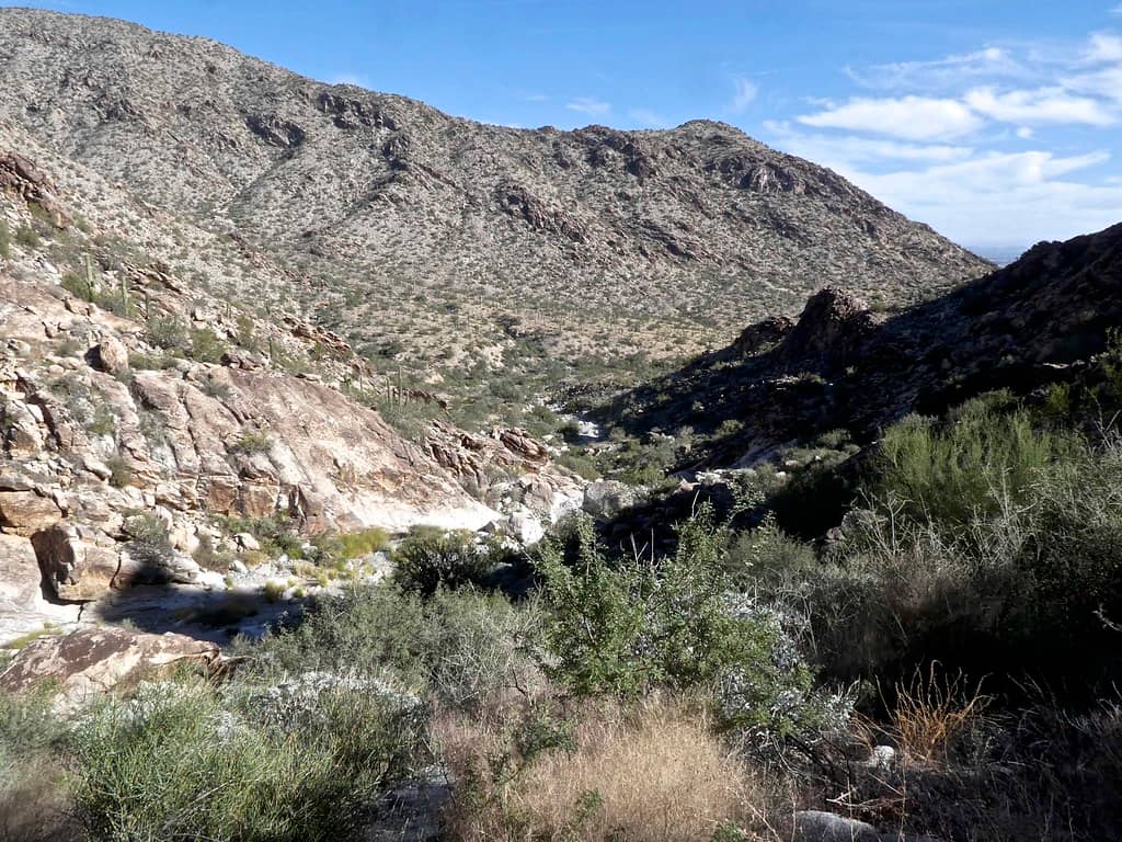 Mesquite Canyon Trail