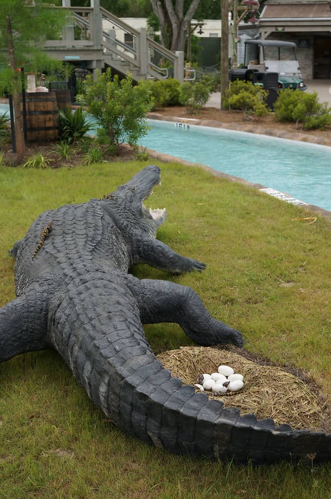 Cool Zoo Waterpark