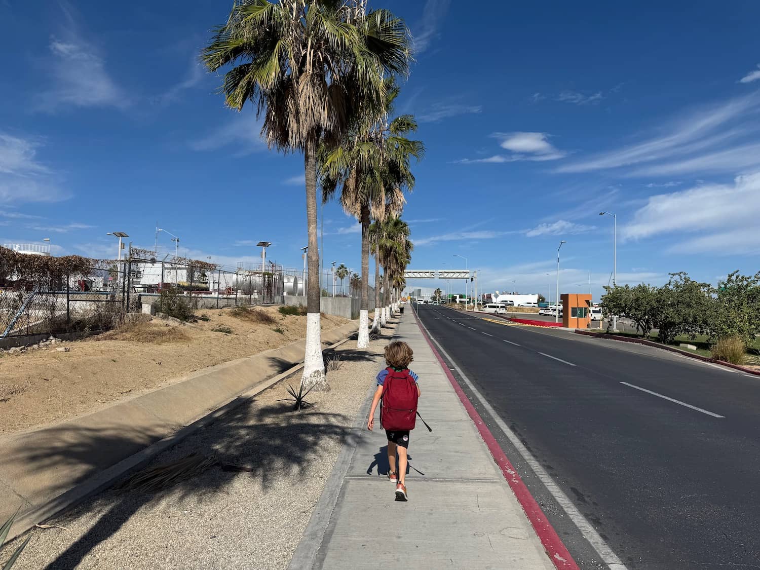 Palm-Lined Promenade