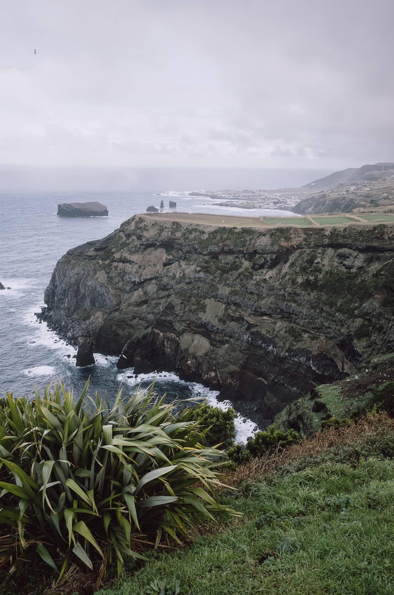 Scenic Drive Exploration