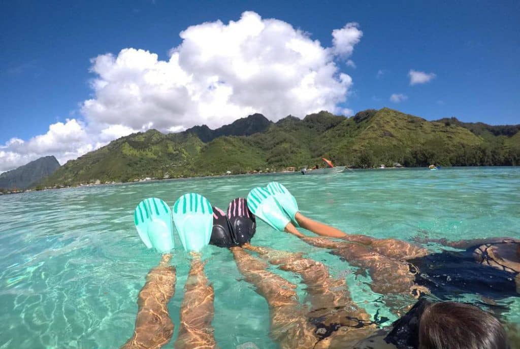 Professional Surf Instruction