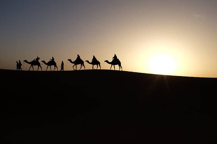 Camel Ride at Sunset