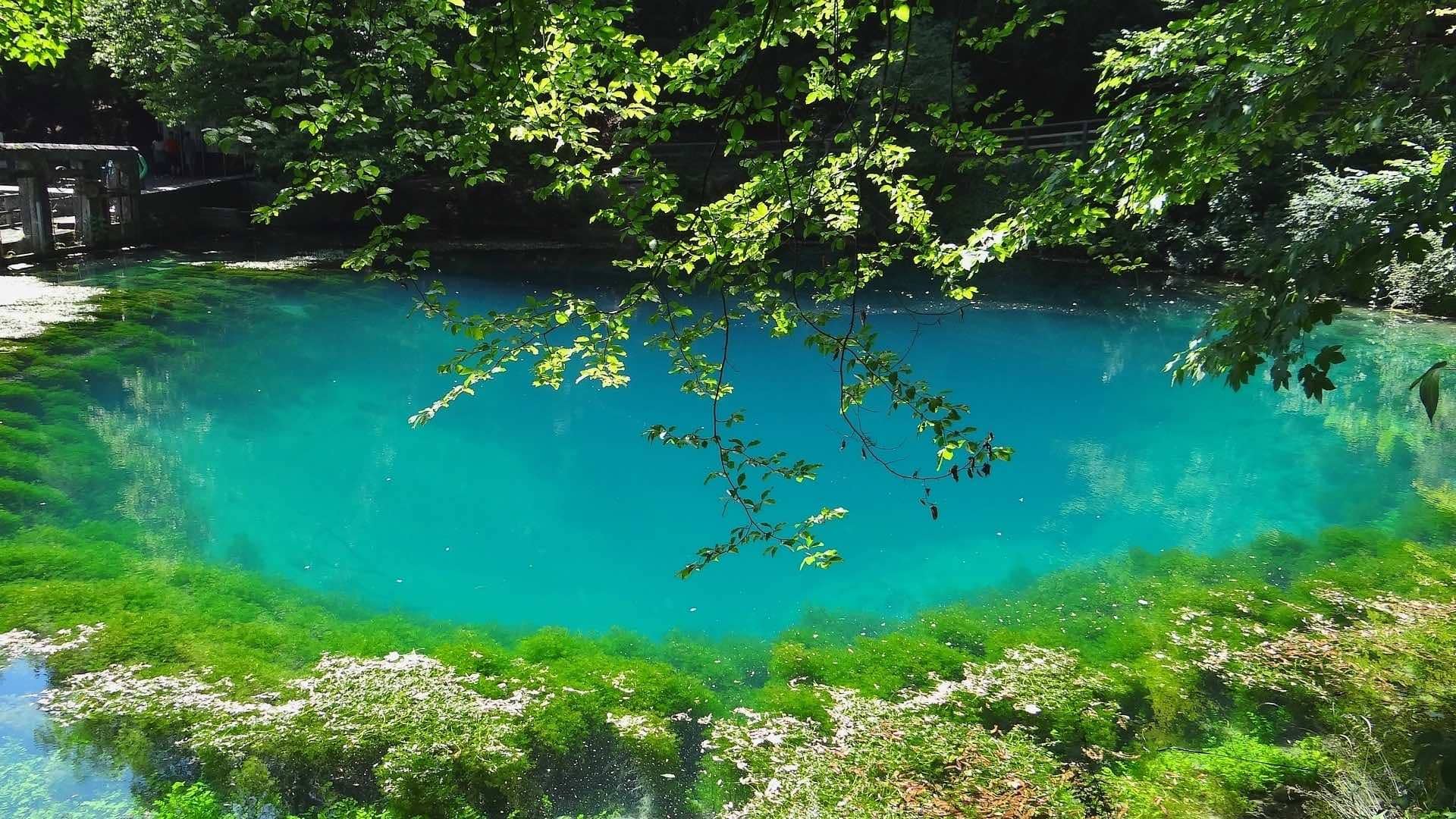 Tranquil Waters