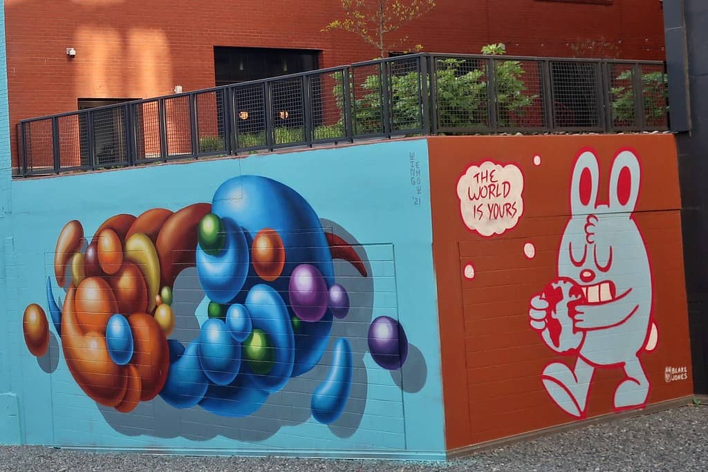Transformative Street Art