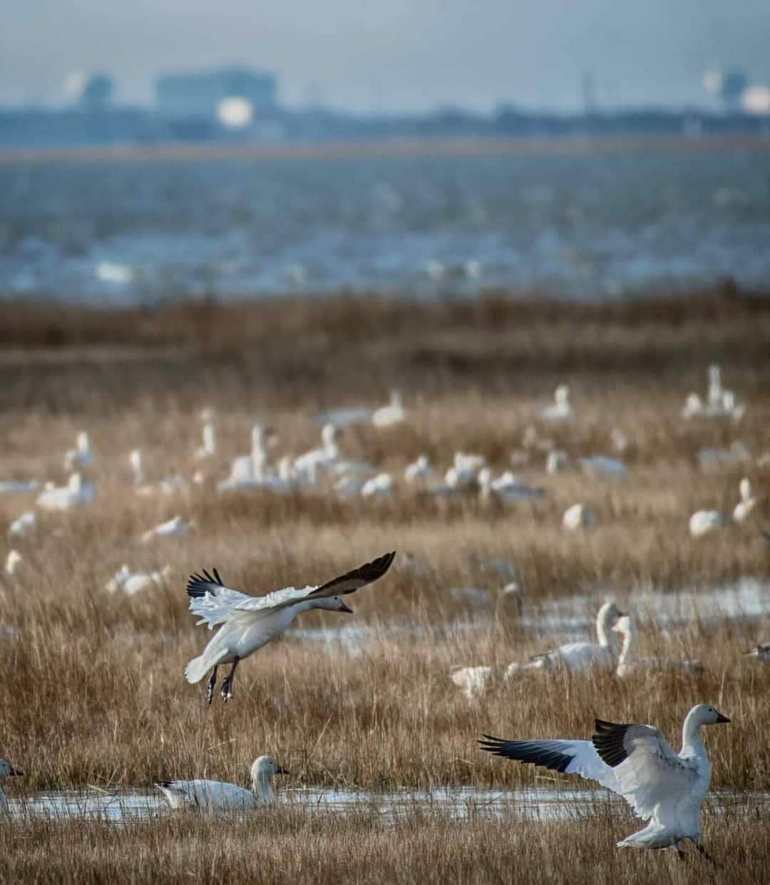 Birdwatching Haven