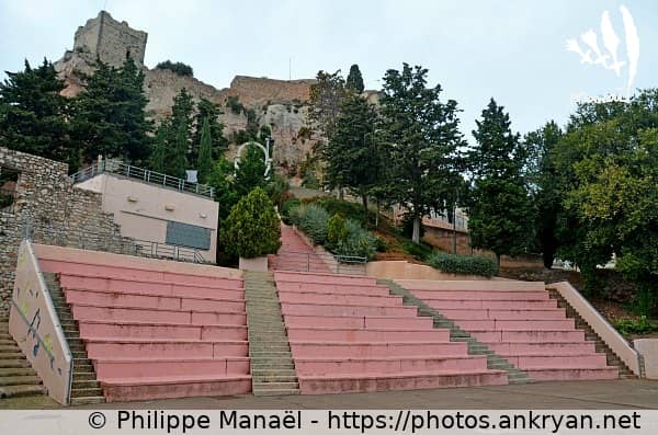 Festivals & Cultural Events