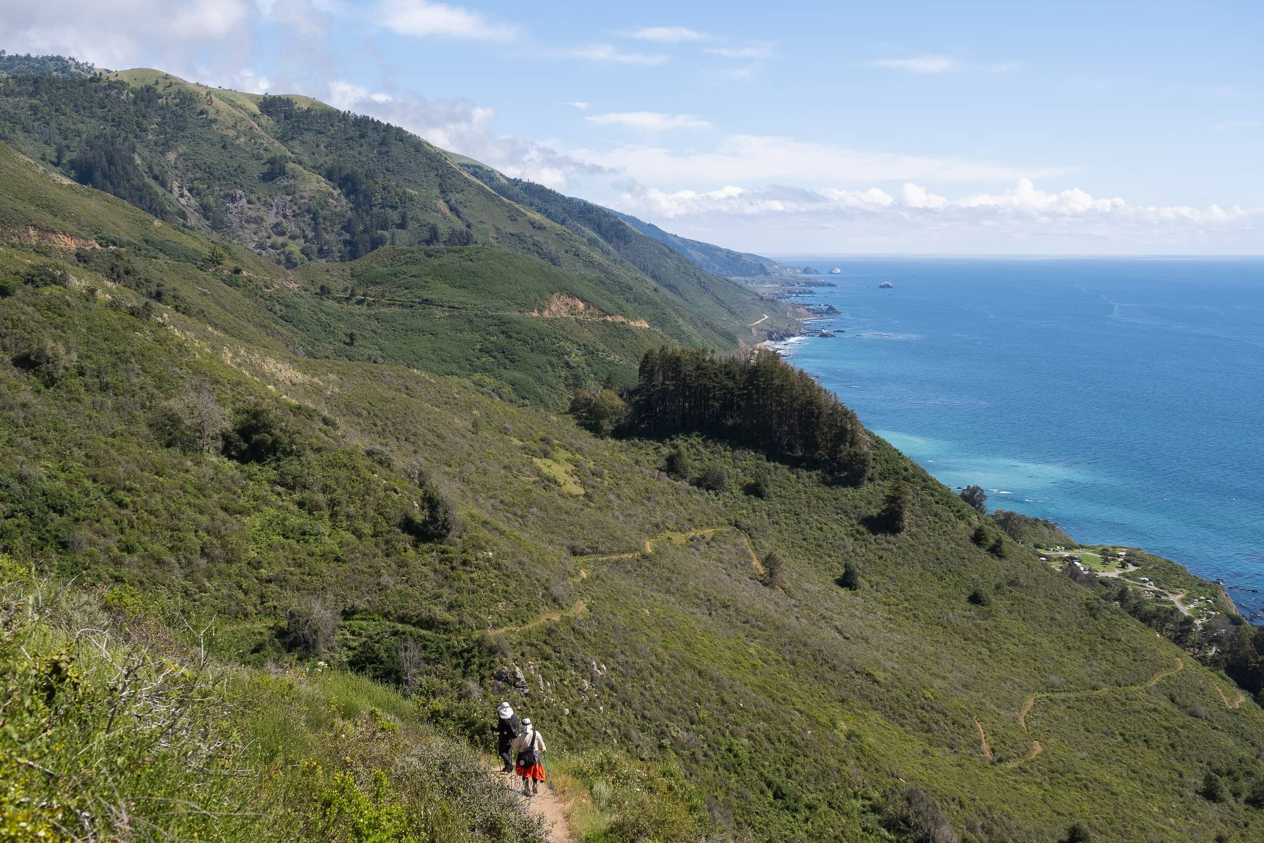 Scenic Walking Paths