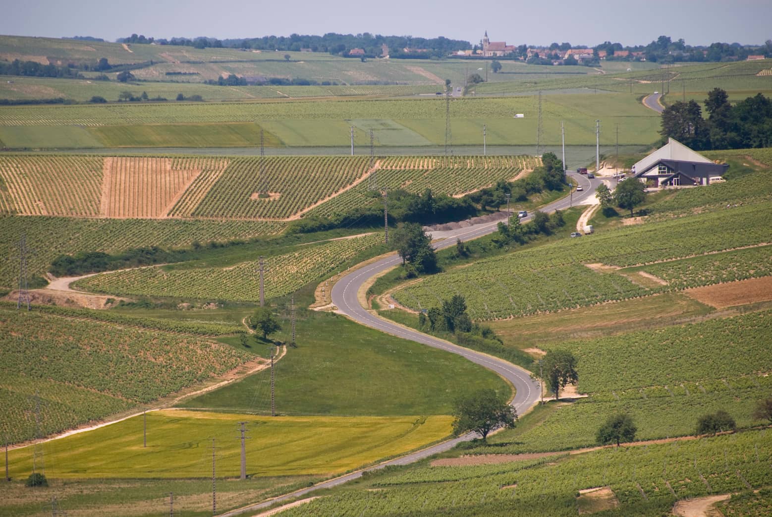 Loire Valley Vineyards