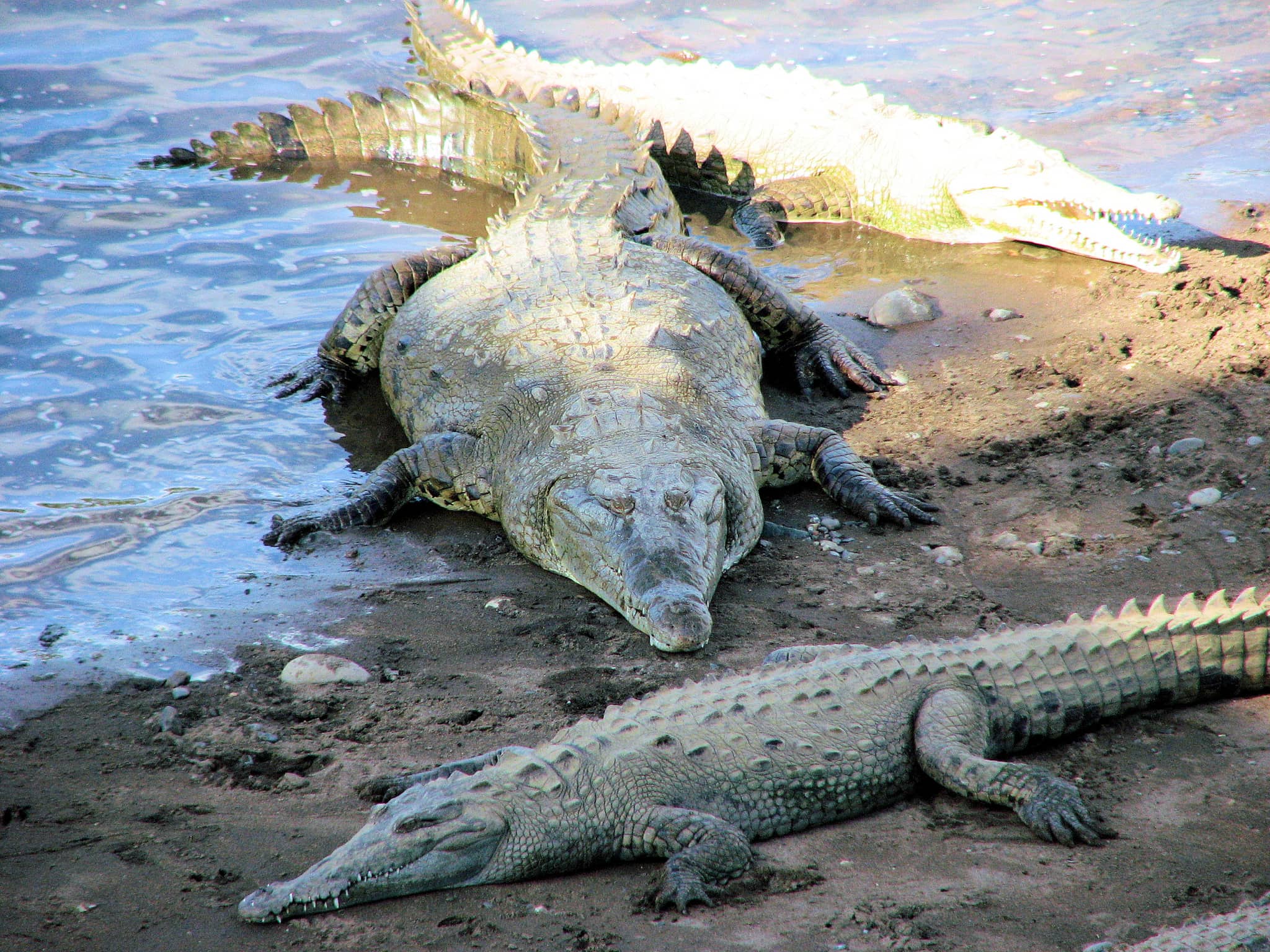 Abundant Wildlife Sightings