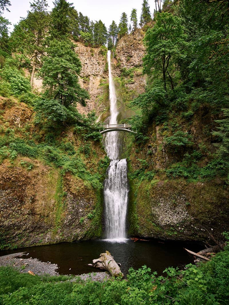 Natural Spring & Trails