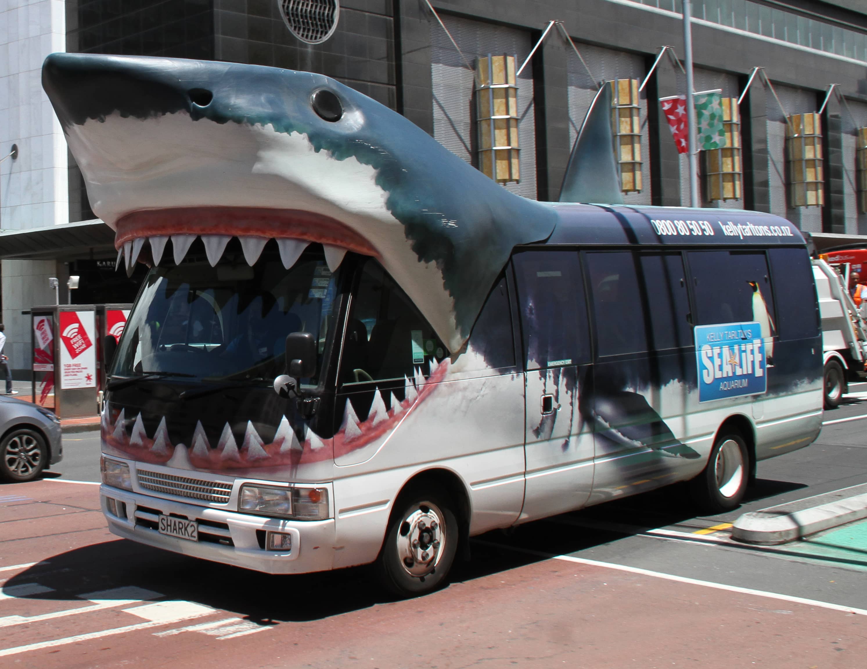 Shark Transport