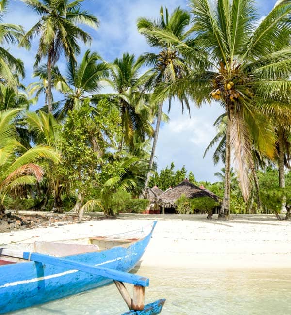 Mangrove Exploration