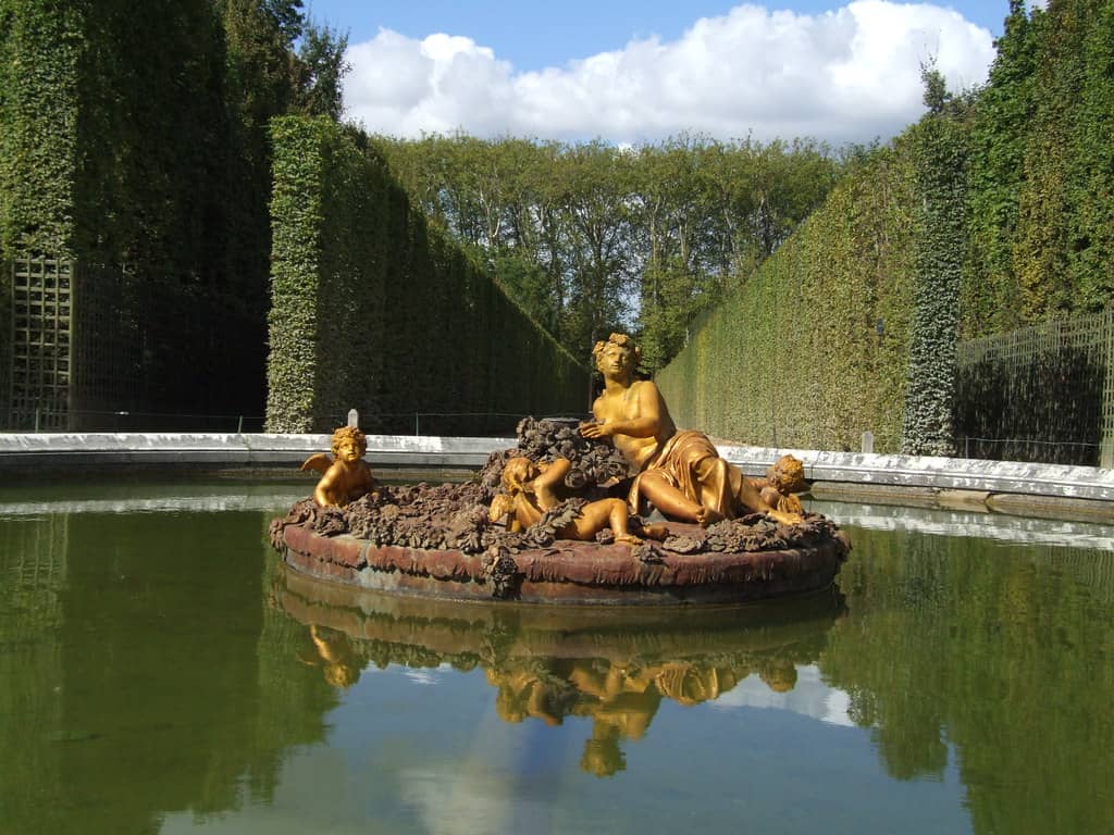 Dazzling Garden Surprises