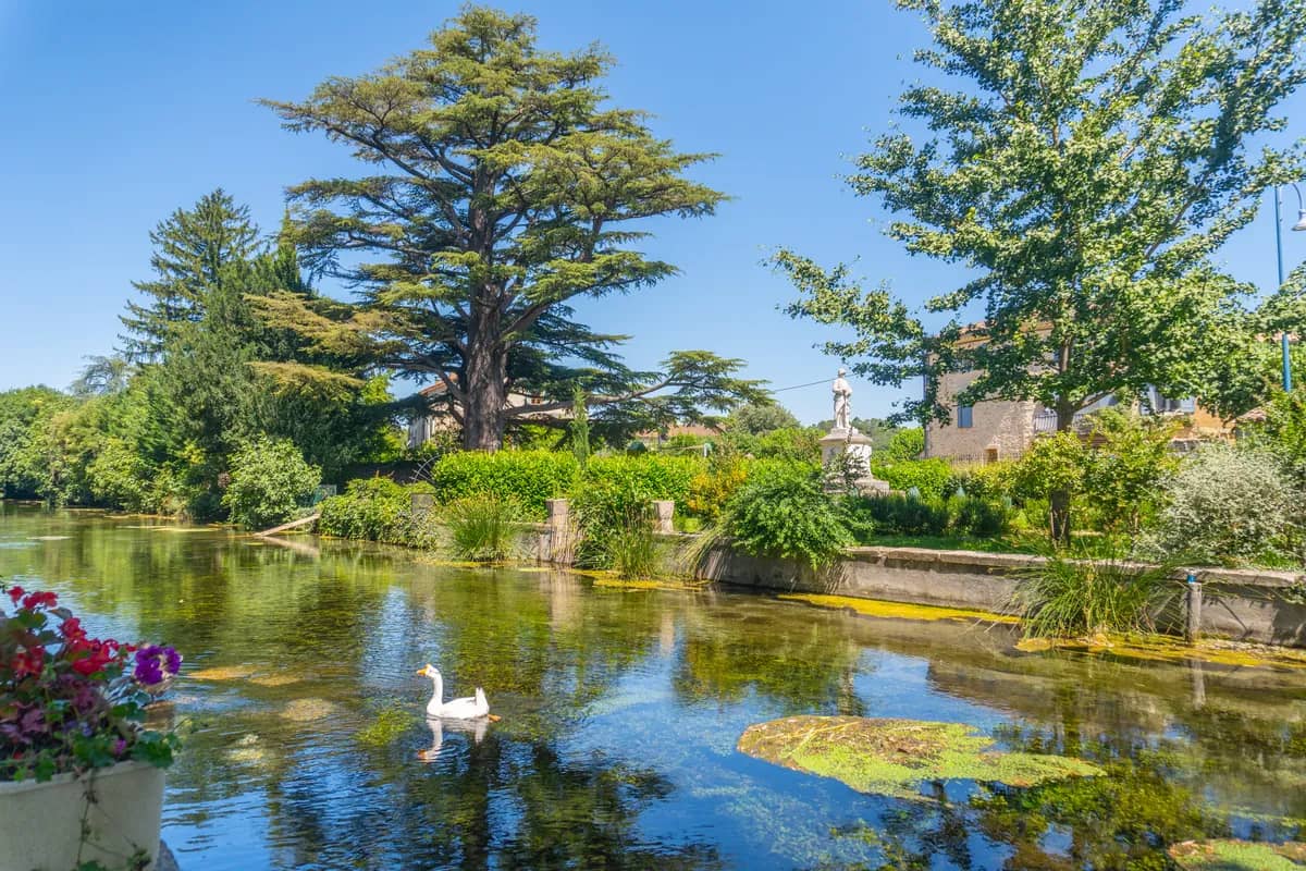 Serene Pond