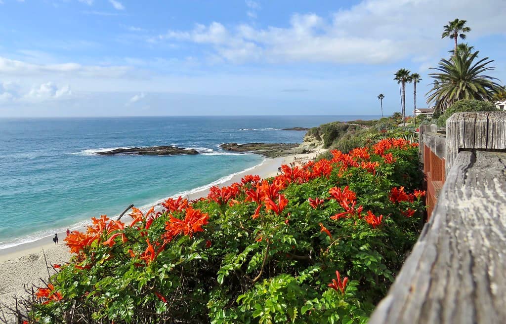 Scenic Coastal Walkway