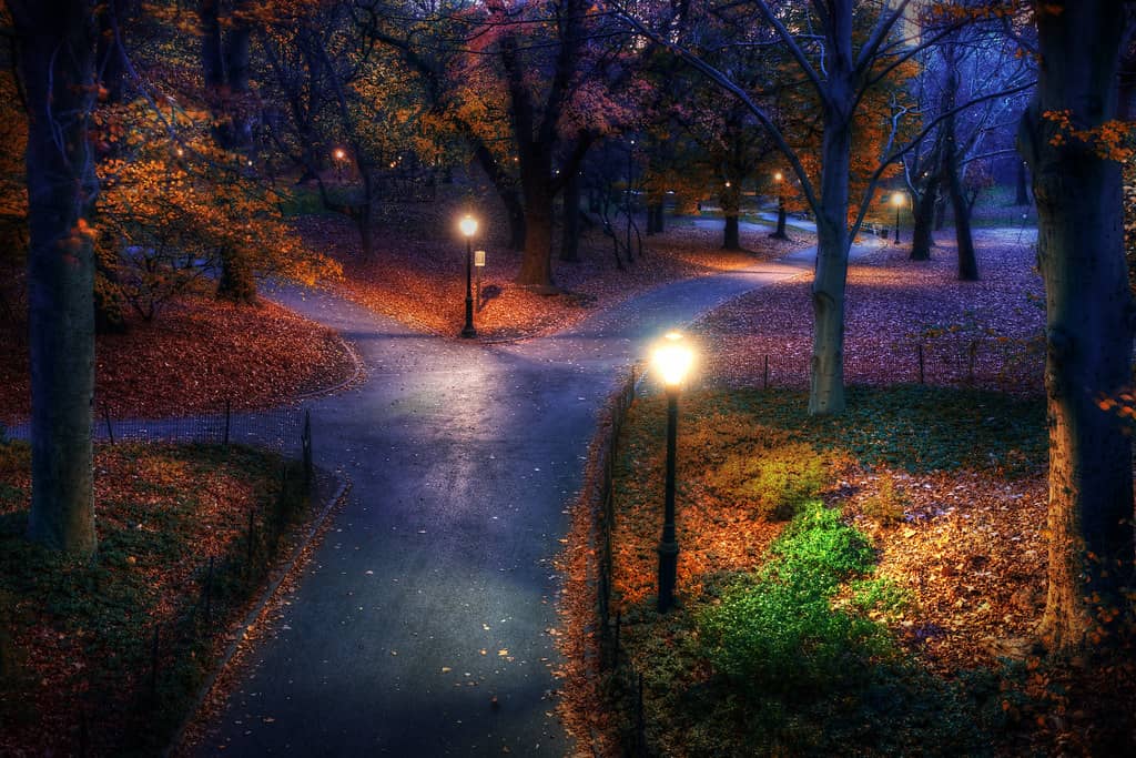 Evening Chill
