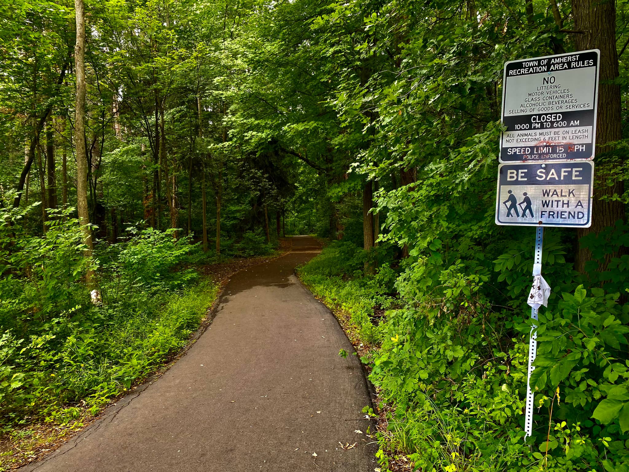Wildlife Viewing Spots