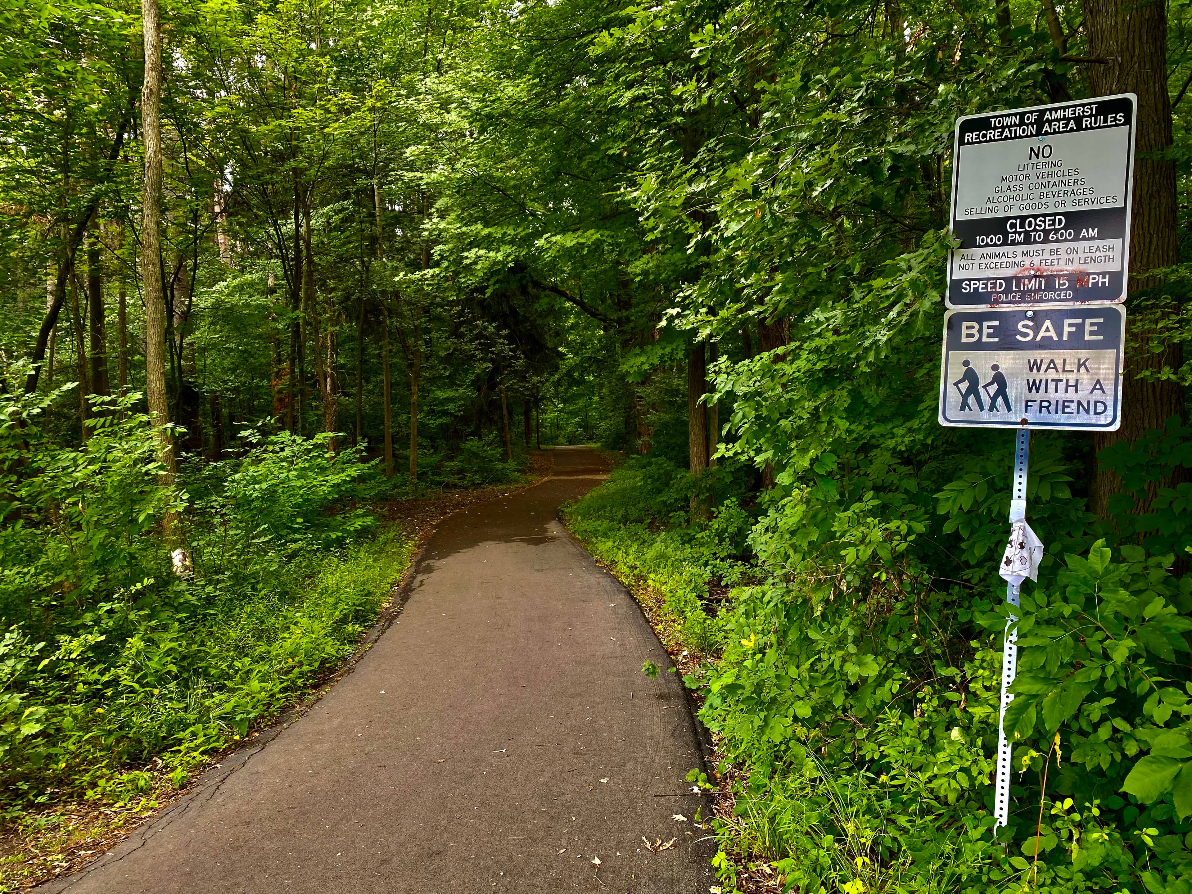 Wildlife Viewing Spots