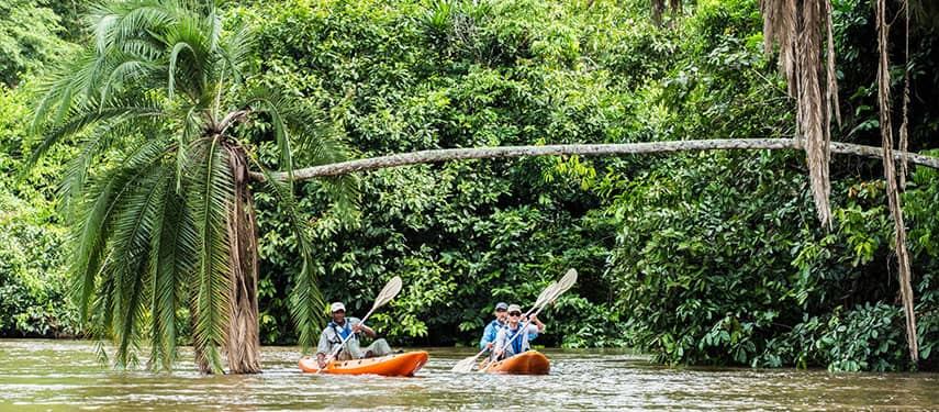 Wildlife Kayaking