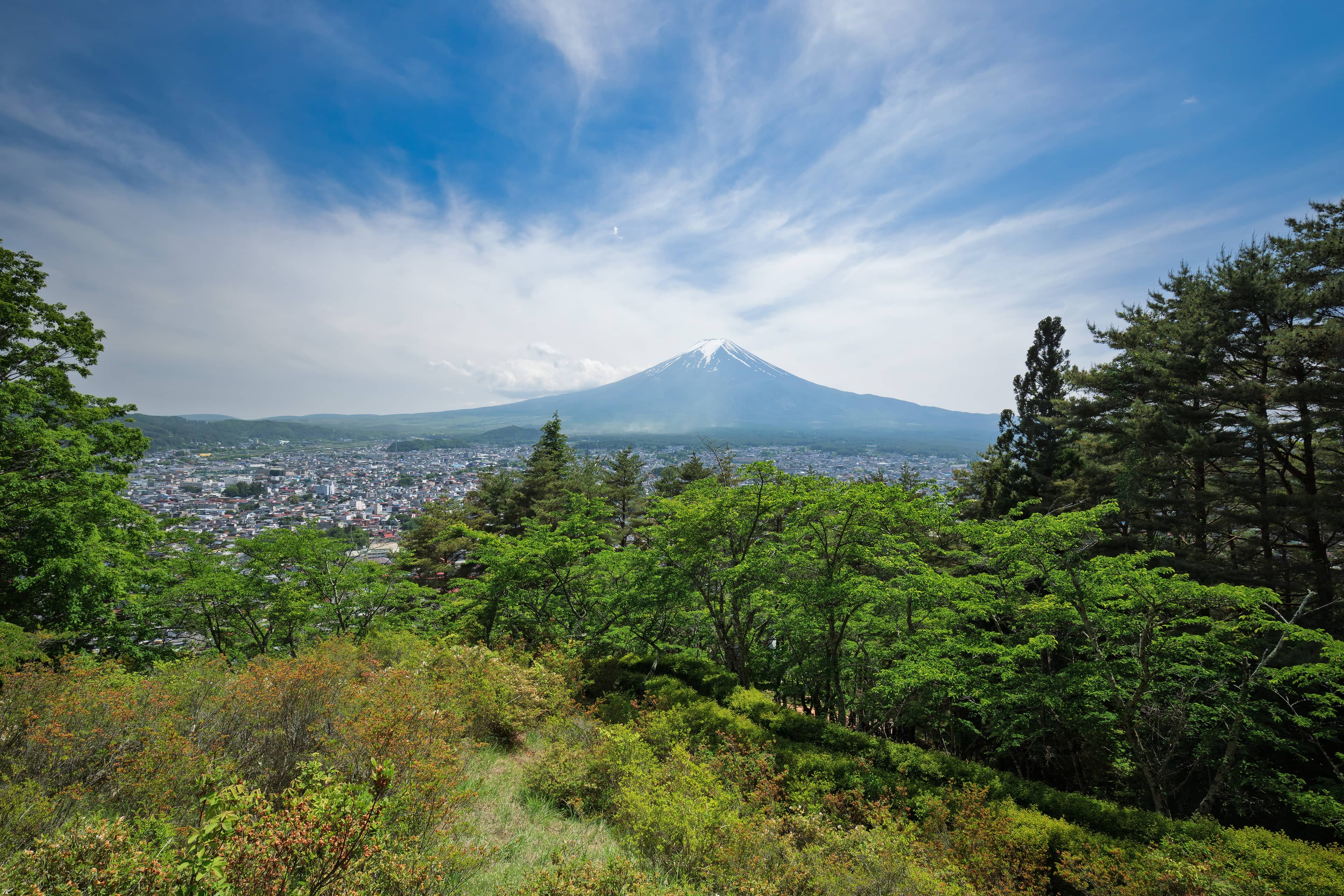 Panoramic Mt. Fuji Vista