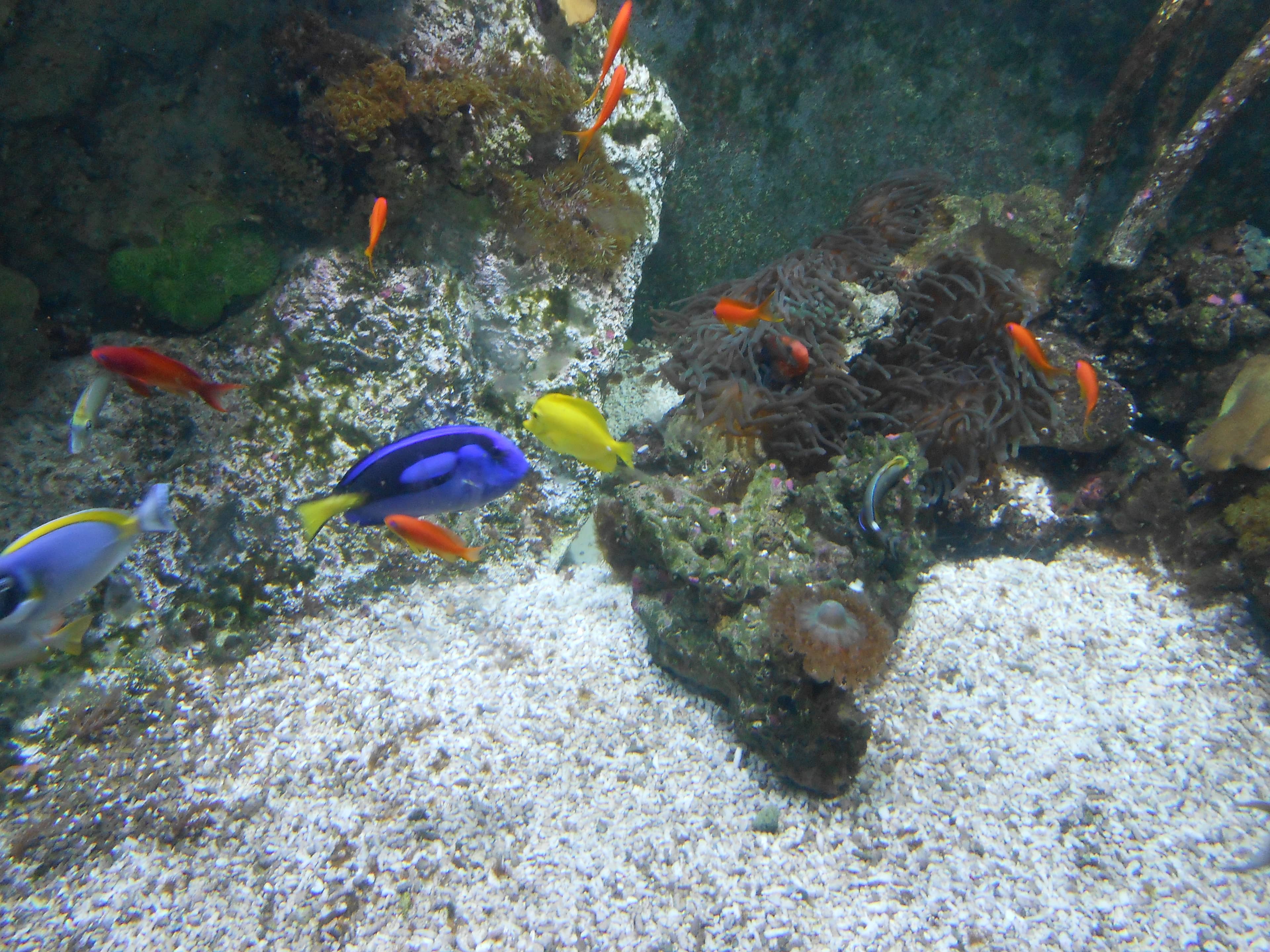 Aquarium & Bug House