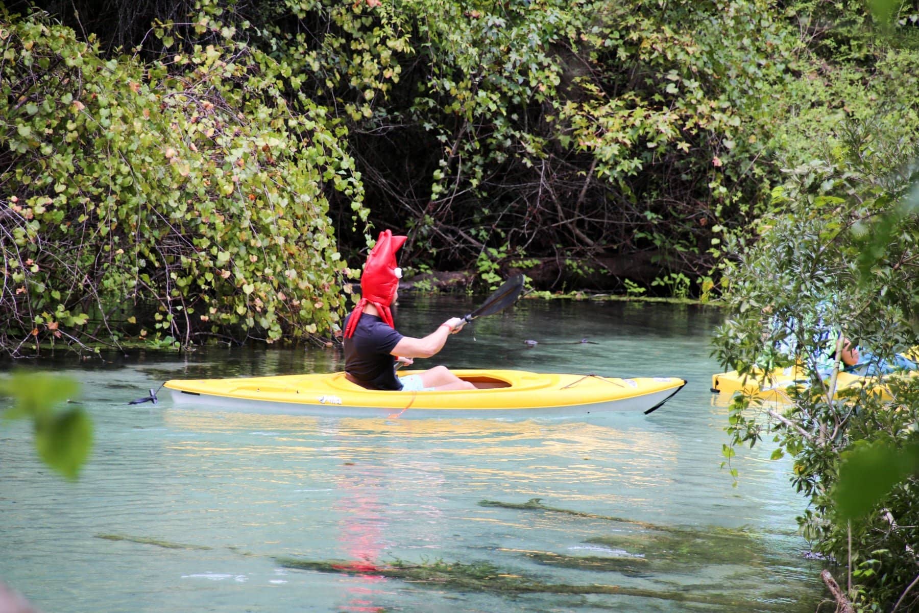Kayak Launch & Creek Exploration
