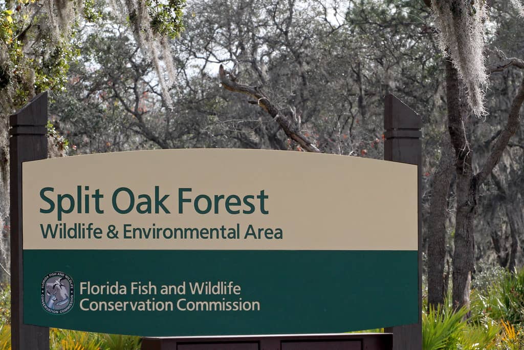 Wildlife Viewing Opportunities