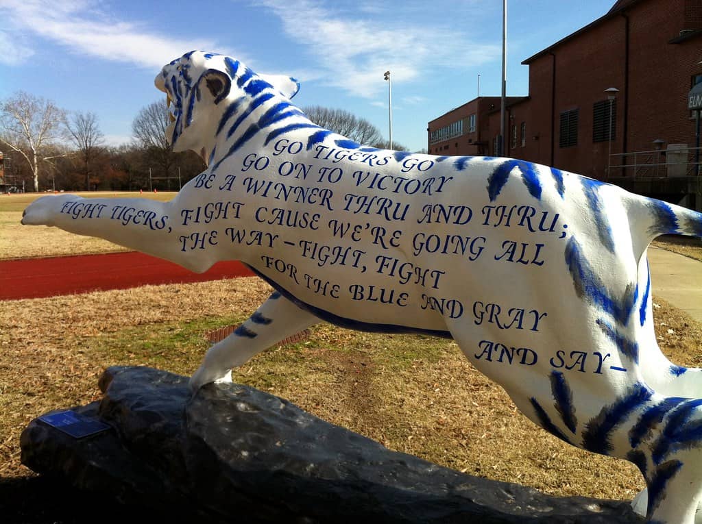 Student Organization Involvement