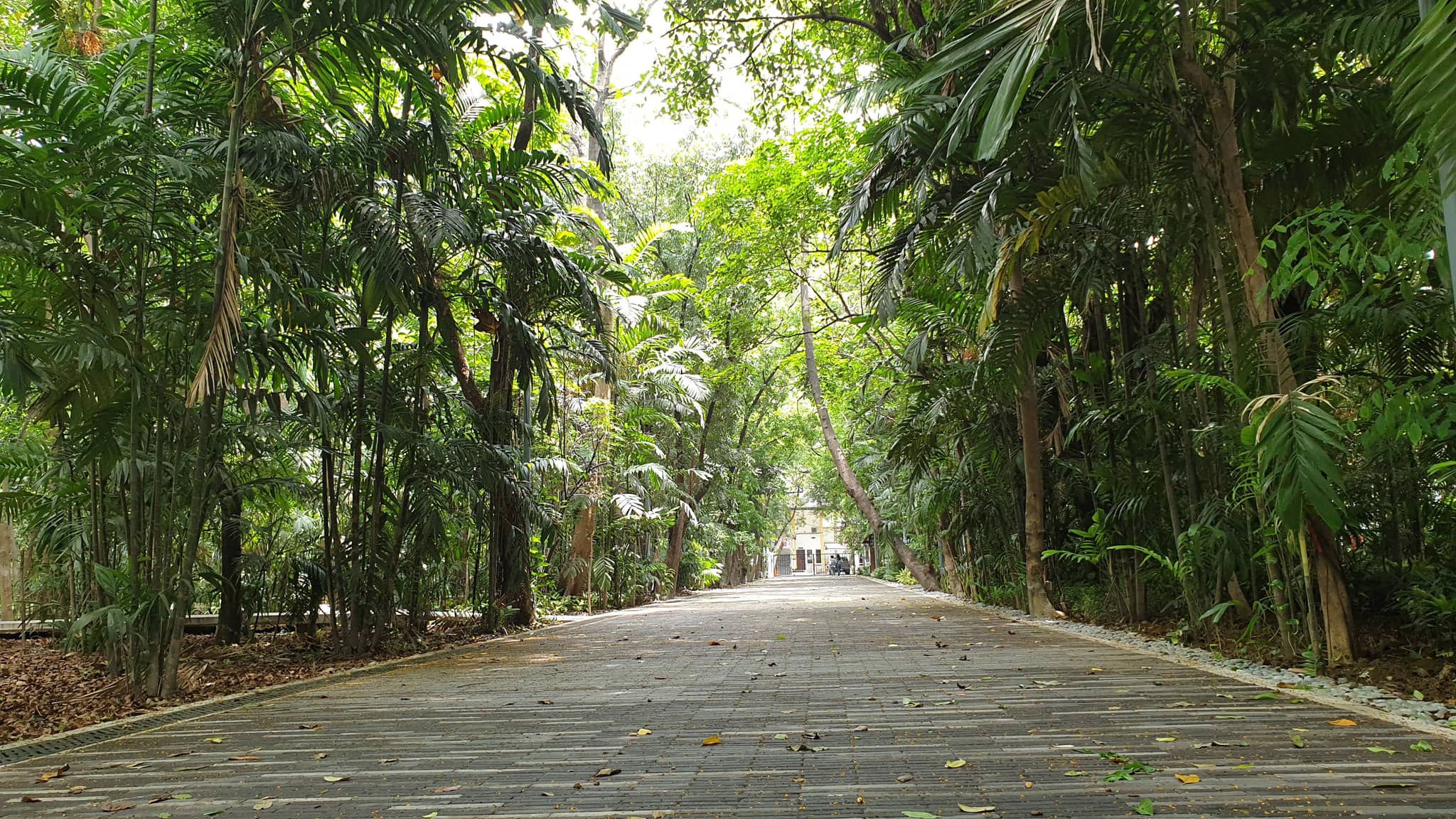 Arroceros Forest Park