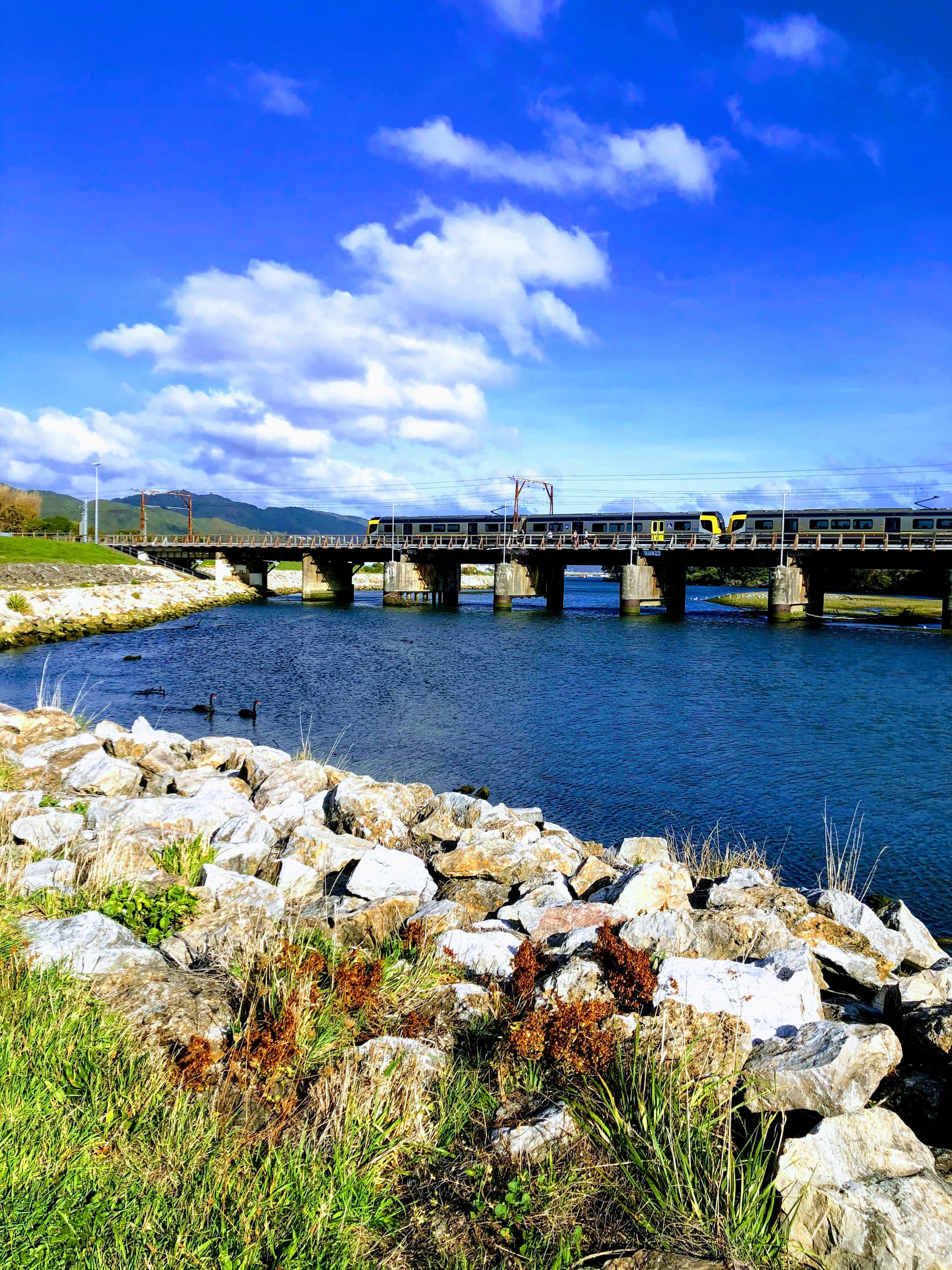 Coastal Train Ride