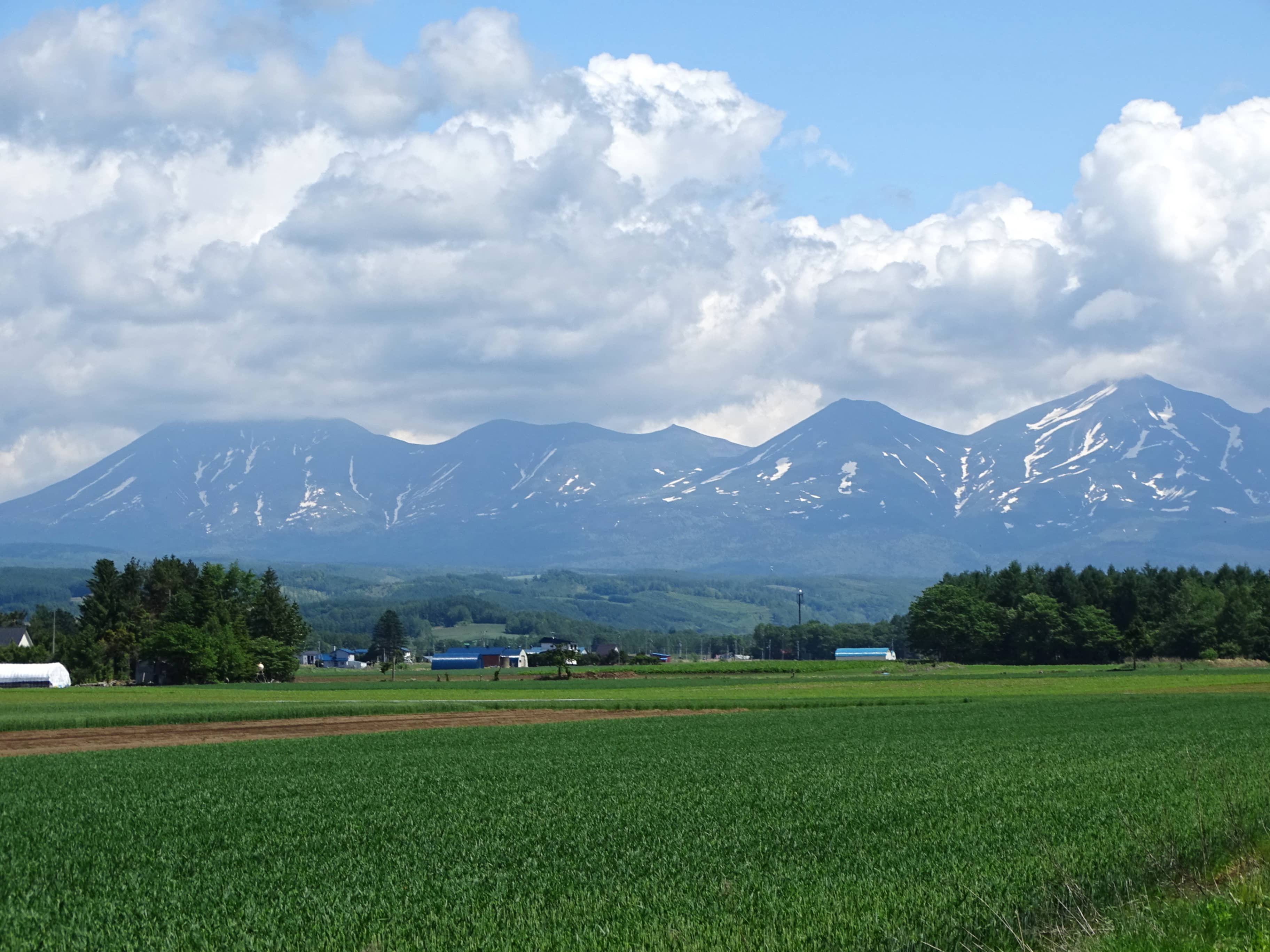 Historical Agricultural Exhibits