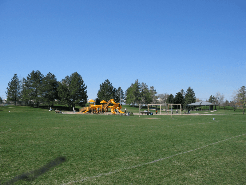Playground Paradise