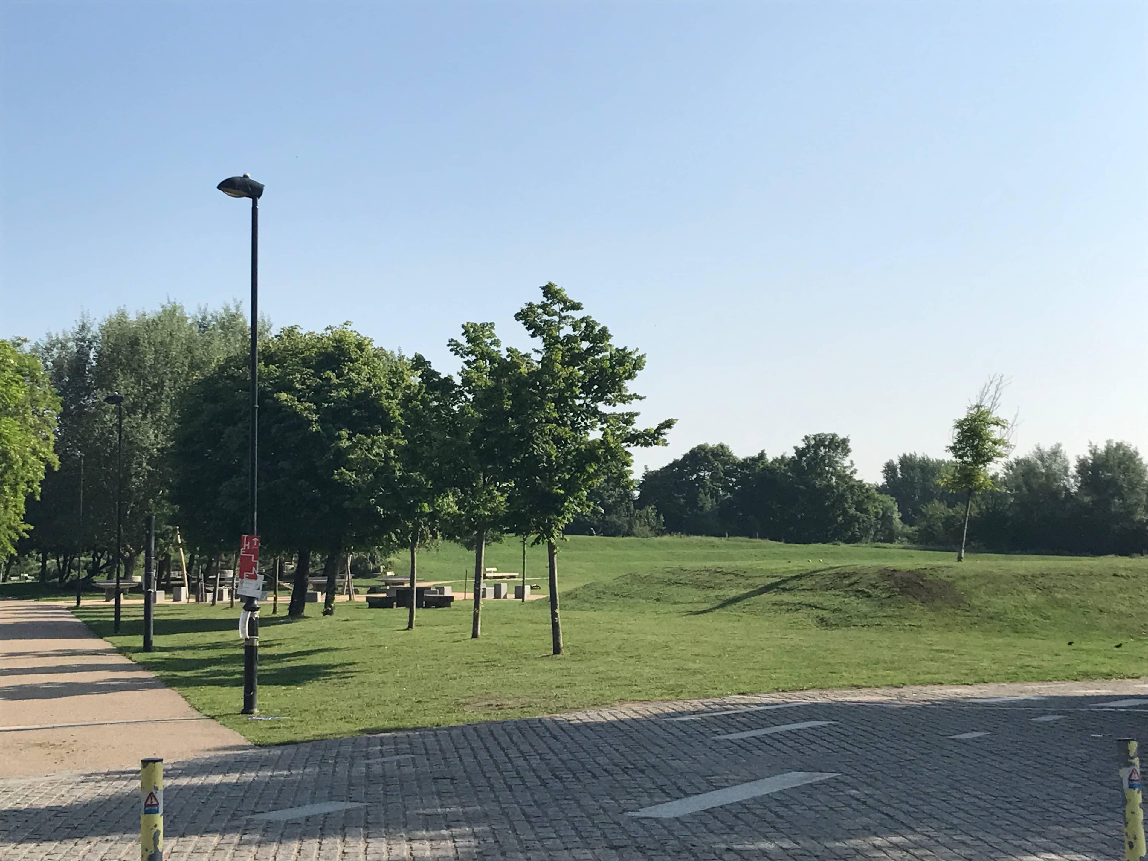 Scenic Walking Paths