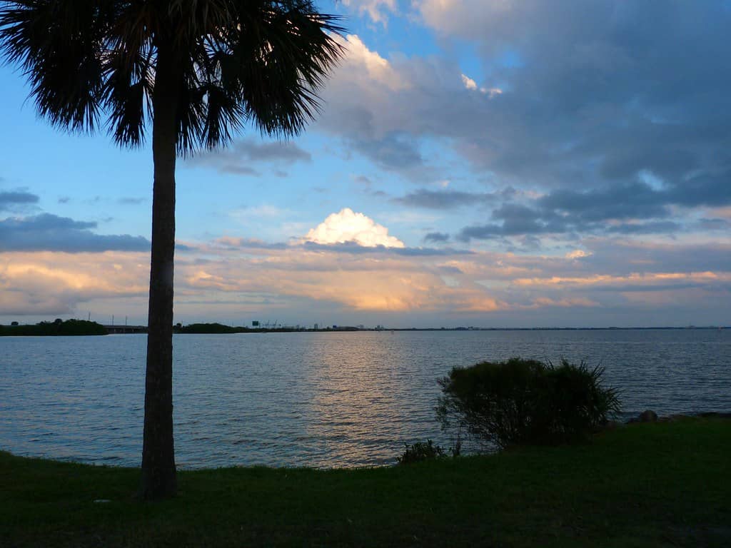Sunset Views & Cruise Ships