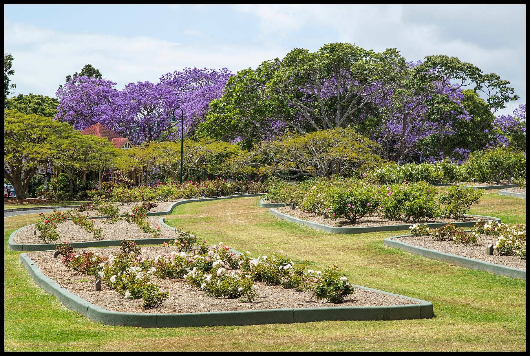 Rose Gardens