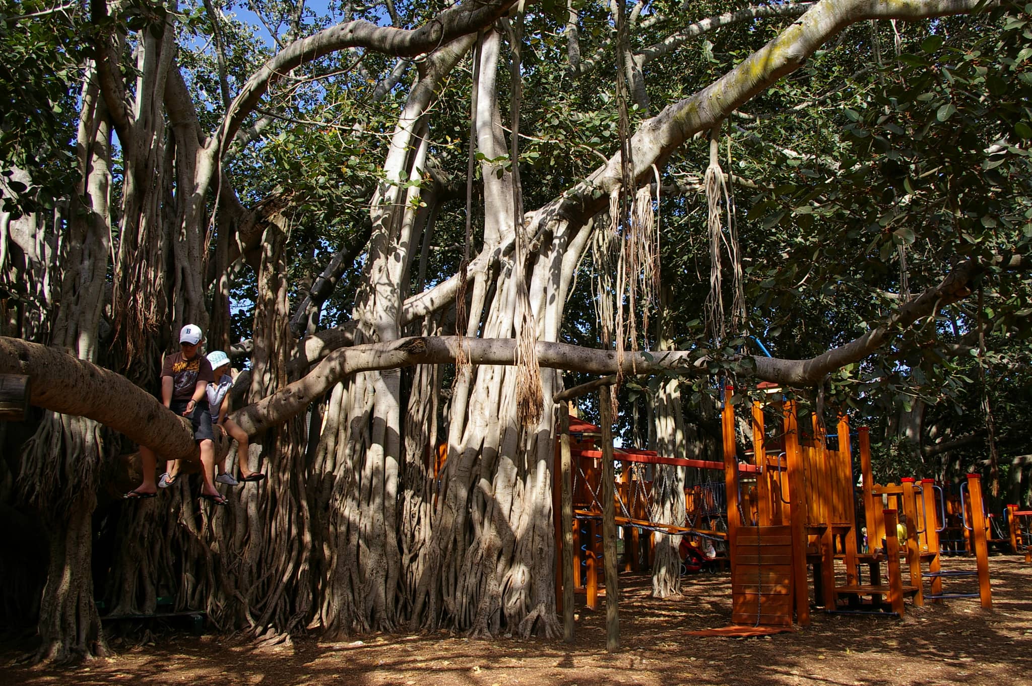 Children's Playground