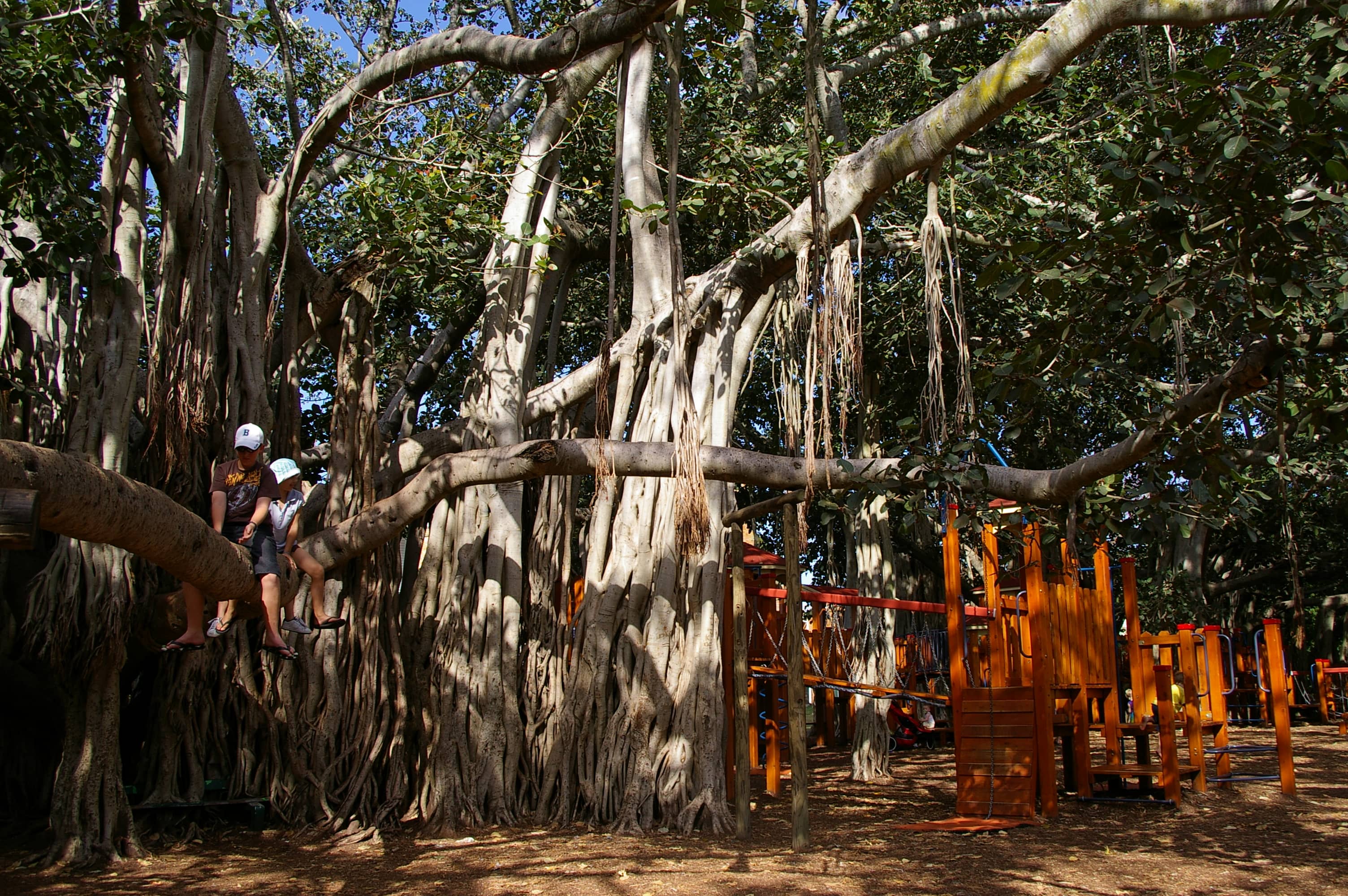 Children's Playground