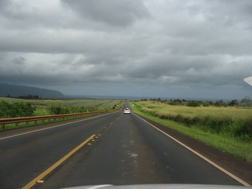 Kamehameha Highway Drive