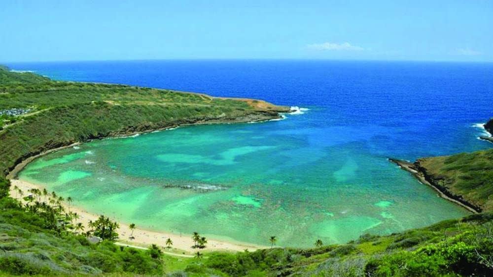 Pristine Beach Setting