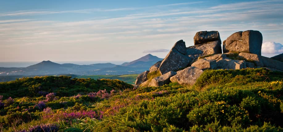 Historical Guided Tour