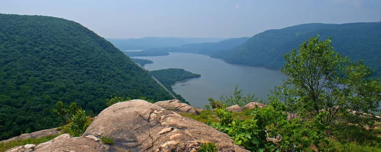 Carmel Valley Farmers Market