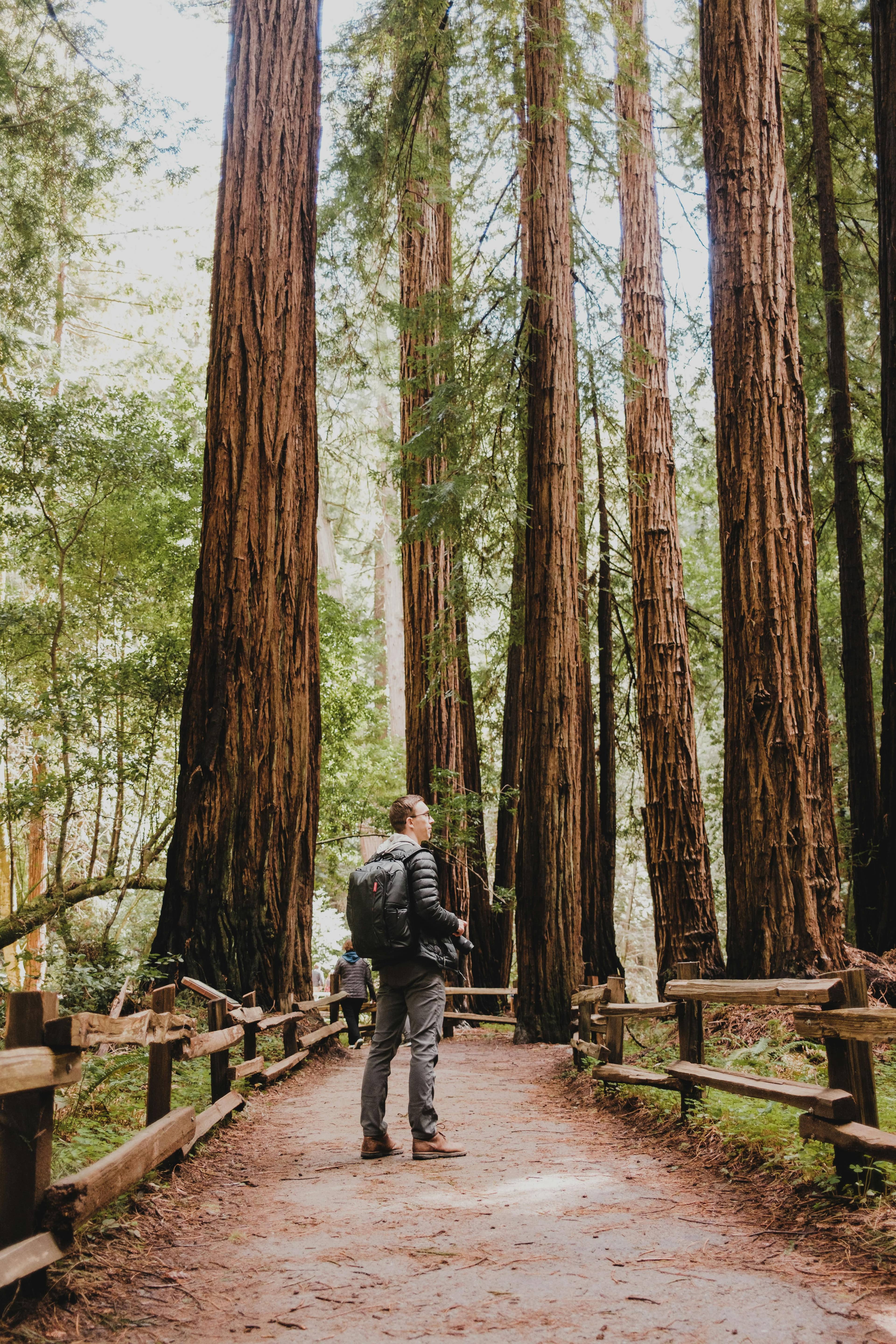 Scenic Walking Trails