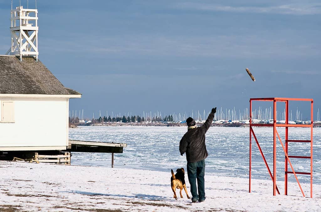 Off-Leash Dog Area