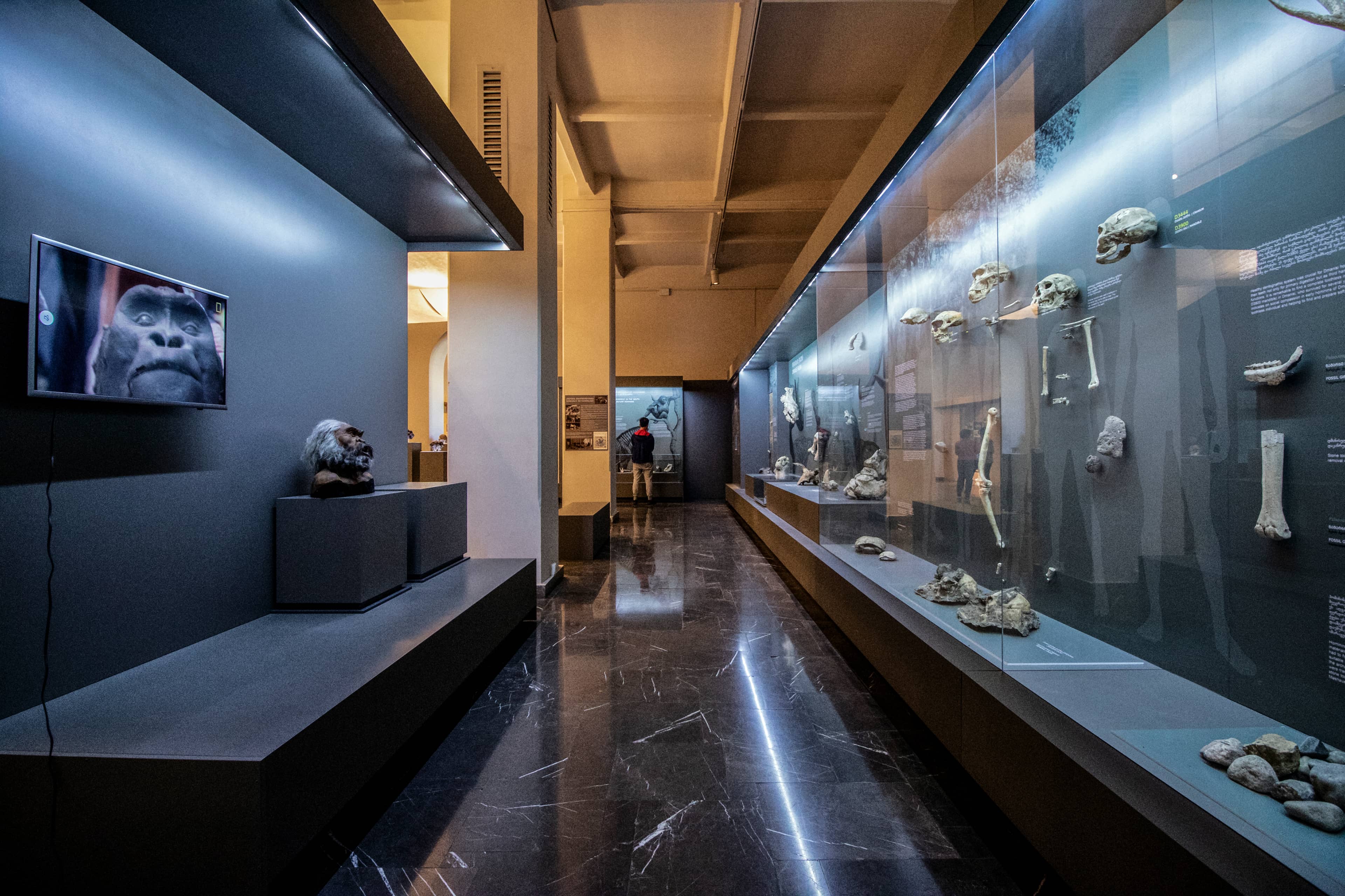 Georgian National Museum